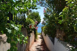Οικόπεδο 542 τ.μ. για πώληση, Αρκαδία, Βόρεια Κυνουρία-thumb-4