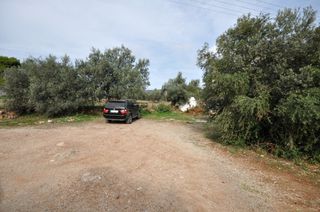 Οικόπεδο 542 τ.μ. για πώληση, Αρκαδία, Βόρεια Κυνουρία-thumb-15