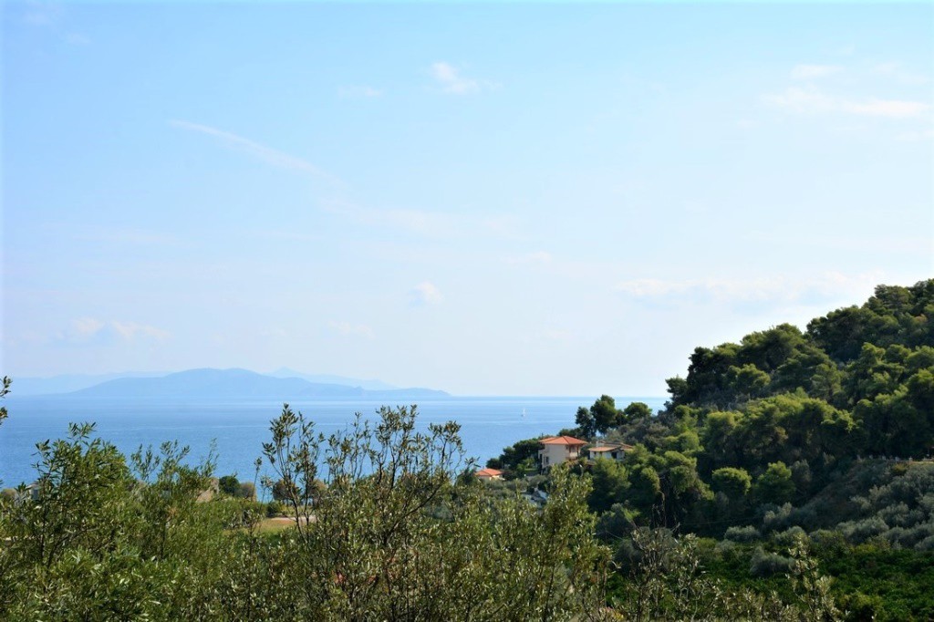 Αγροτεμάχια 4.800 τ.μ. προς πώληση, Νέα Επίδαυρος