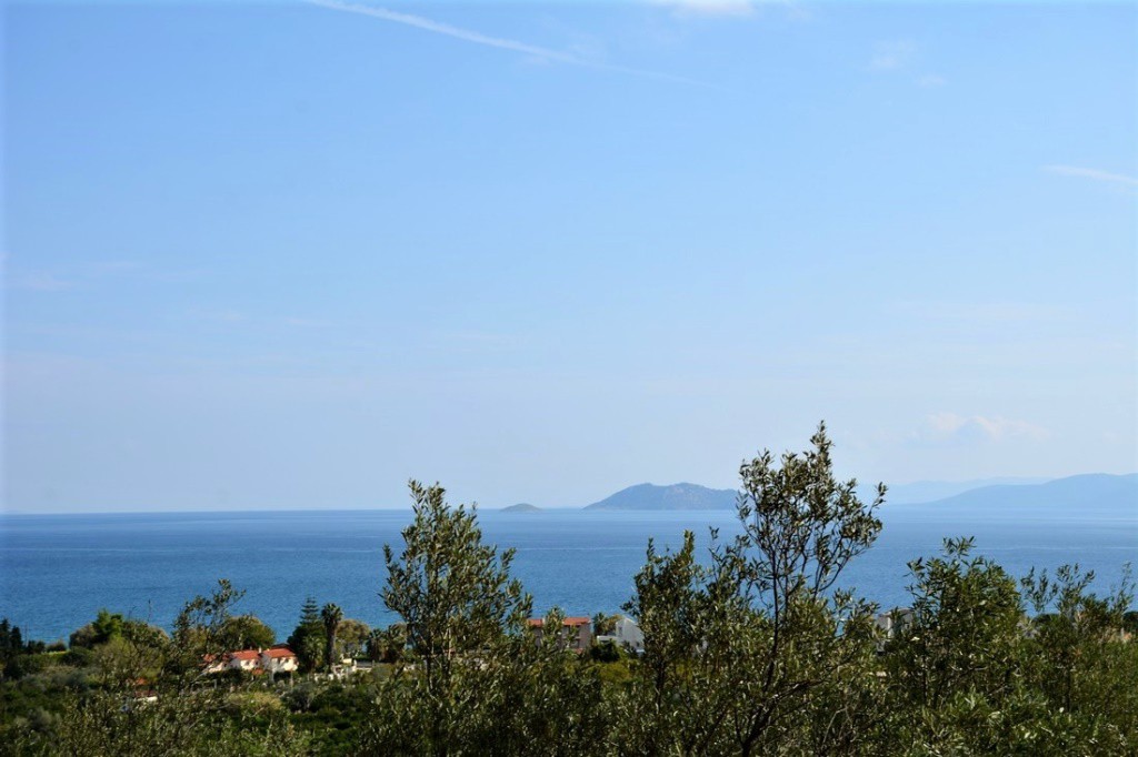 Αγροτεμάχια 4.800 τ.μ. προς πώληση, Νέα Επίδαυρος