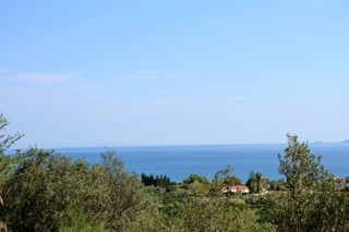 Αγροτεμάχια 4.800 τ.μ. για πώληση
