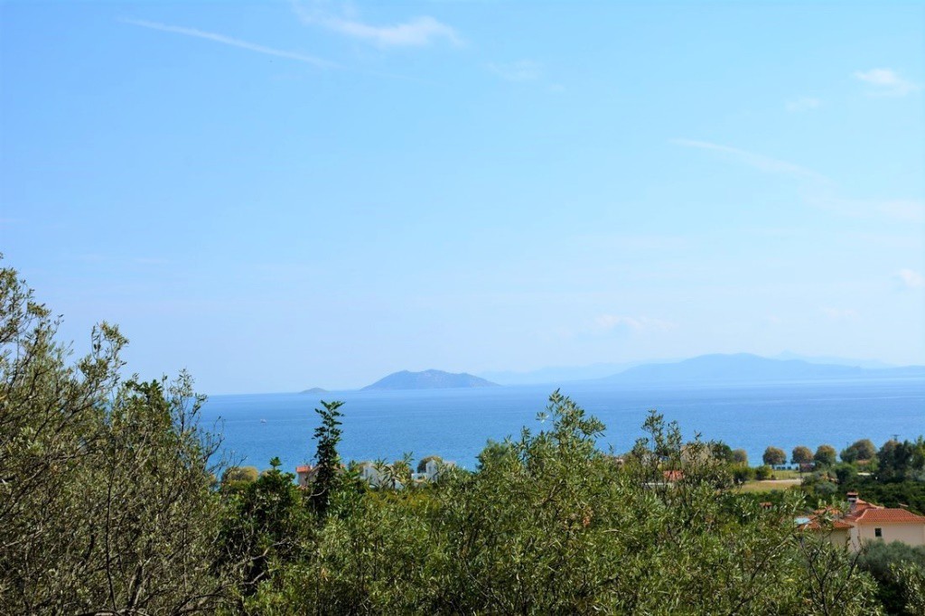 Αγροτεμάχια 4.800 τ.μ. προς πώληση, Νέα Επίδαυρος