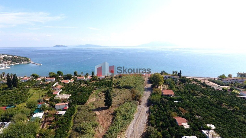 Αγροτεμάχια 4.000 τ.μ. προς πώληση, Νέα Επίδαυρος