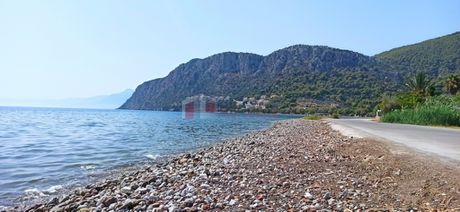 Αγροτεμάχια 4.000τ.μ. για πώληση-Επίδαυρος