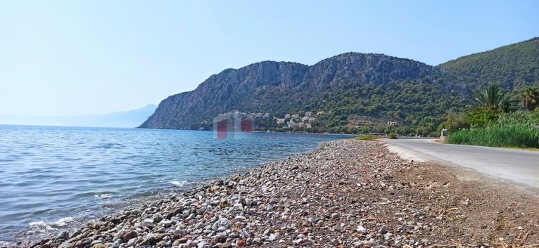 Parcel 4.000 sqm for sale, Argolis, Epidavros