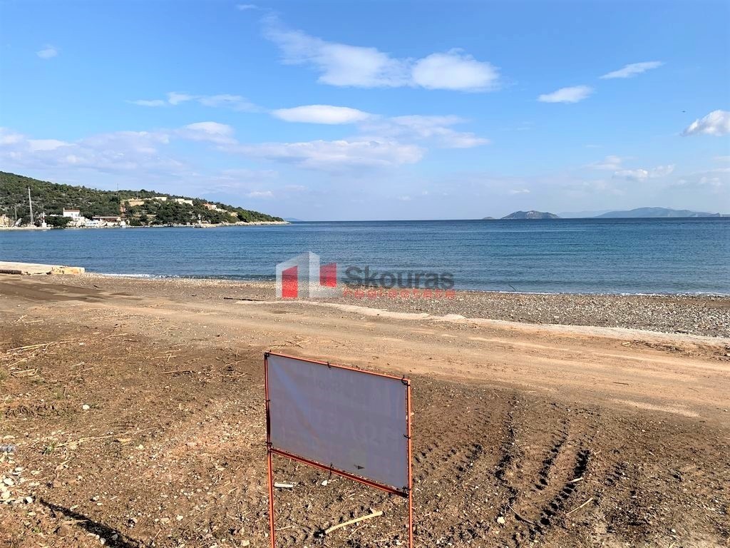 Αγροτεμάχια 4.000 τ.μ. προς πώληση, Νέα Επίδαυρος