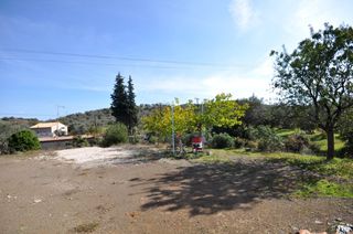 Αγροτεμάχια 9.850 τ.μ. για πώληση, Αργολίδα, Επίδαυρος-thumb-15