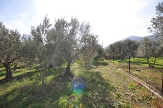 Αγροτεμάχια 9.850 τ.μ. για πώληση, Αργολίδα, Επίδαυρος-thumb-5