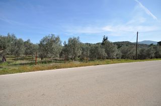 Αγροτεμάχια 9.850 τ.μ. για πώληση, Αργολίδα, Επίδαυρος-thumb-21