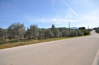 Αγροτεμάχια 9.850 τ.μ. για πώληση, Αργολίδα, Επίδαυρος-thumb-17