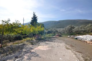 Αγροτεμάχια 9.850 τ.μ. για πώληση, Αργολίδα, Επίδαυρος-thumb-16