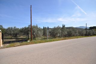 Αγροτεμάχια 9.850 τ.μ. για πώληση, Αργολίδα, Επίδαυρος-thumb-18
