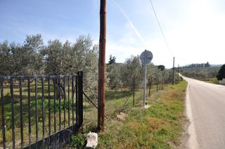 Αγροτεμάχια 9.850 τ.μ. για πώληση, Αργολίδα, Επίδαυρος-thumb-19