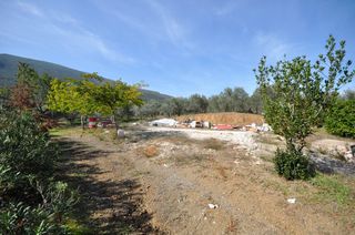 Αγροτεμάχια 9.850 τ.μ. για πώληση, Αργολίδα, Επίδαυρος-thumb-12