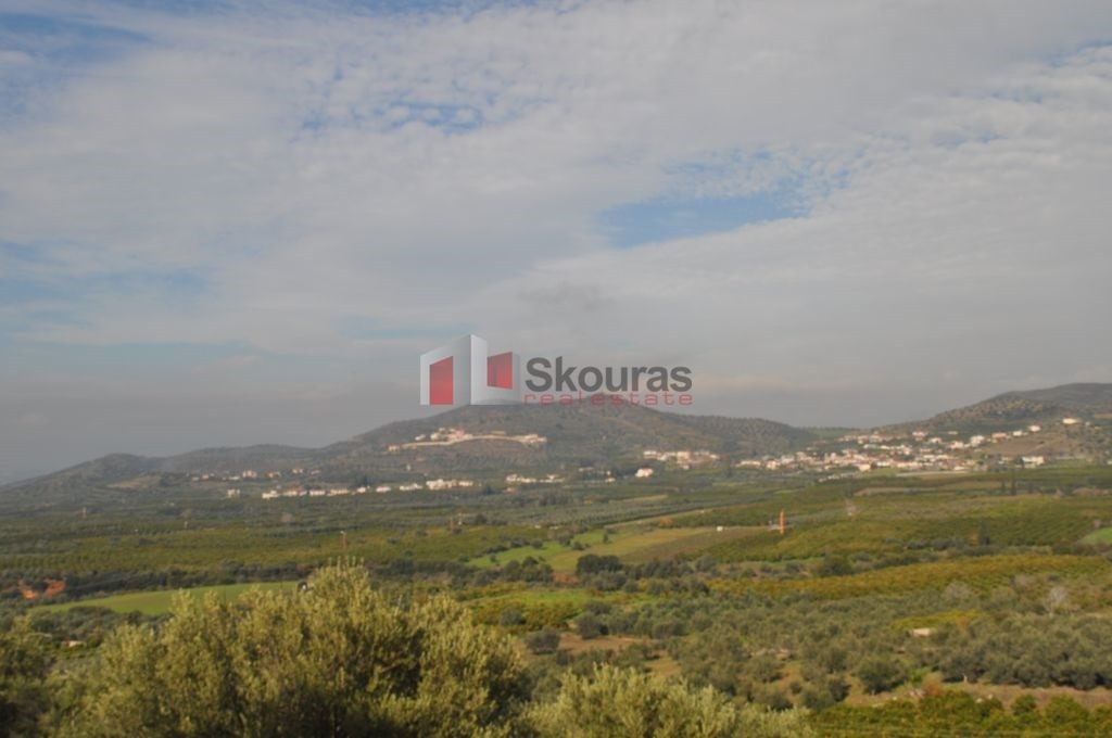 Αγροτεμάχια 4.253 τ.μ. προς πώληση, Προφήτης Ηλίας Νέας Τίρυνθας