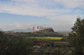 Αγροτεμάχια 4.253 τ.μ. για πώληση