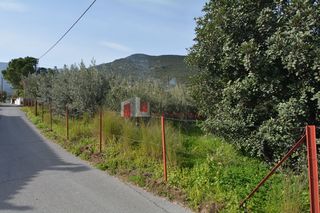 Οικόπεδο 1.049 τ.μ. για πώληση, Αρκαδία, Απόλλωνας-thumb-1