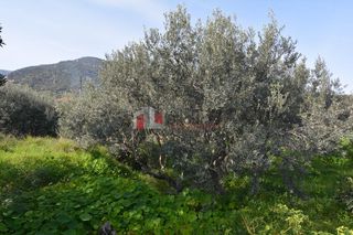 Οικόπεδο 1.049 τ.μ. για πώληση, Αρκαδία, Απόλλωνας-thumb-14