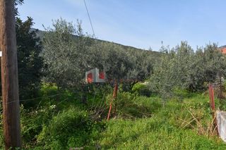Οικόπεδο 1.049 τ.μ. για πώληση, Αρκαδία, Απόλλωνας-thumb-17