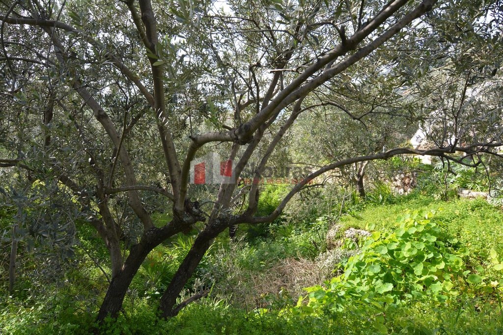 Οικόπεδο 1.049 τ.μ. προς πώληση, Τυρός