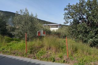 Οικόπεδο 1.049 τ.μ. για πώληση, Αρκαδία, Απόλλωνας-thumb-8