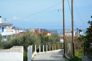 Οικόπεδο 1.049 τ.μ. για πώληση, Αρκαδία, Απόλλωνας-thumb-10