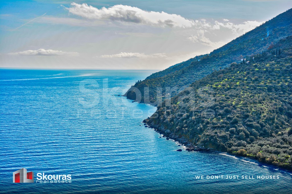 Αγροτεμάχια 10.000 τ.μ. προς πώληση, Τυρός