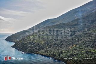 Αγροτεμάχια 10.000 τ.μ. προς πώληση, Τυρός-thumb-23