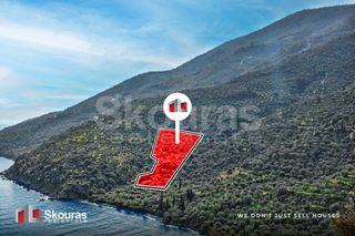 Αγροτεμάχια 10.000 τ.μ. για πώληση