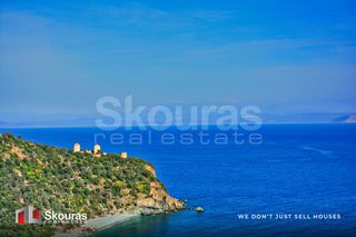 Αγροτεμάχια 10.000 τ.μ. προς πώληση, Τυρός-thumb-6