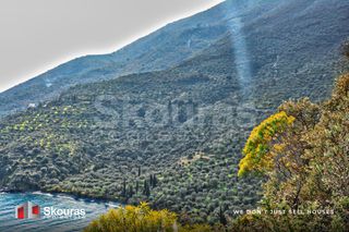 Αγροτεμάχια 10.000 τ.μ. προς πώληση, Τυρός-thumb-24