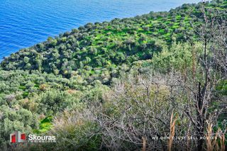 Αγροτεμάχια 10.000 τ.μ. προς πώληση, Τυρός-thumb-16