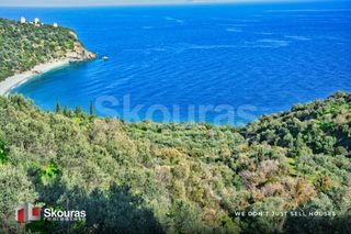 Αγροτεμάχια 10.000 τ.μ. προς πώληση, Τυρός-thumb-9