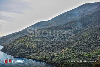 Αγροτεμάχια 10.000 τ.μ. προς πώληση, Τυρός-thumb-22