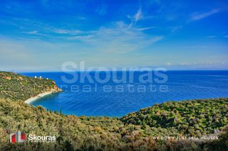 Αγροτεμάχια 10.000 τ.μ. προς πώληση, Τυρός-thumb-5