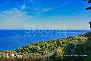 Αγροτεμάχια 10.000 τ.μ. προς πώληση, Τυρός-thumb-13