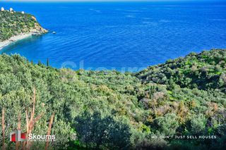 Αγροτεμάχια 10.000 τ.μ. προς πώληση, Τυρός-thumb-8
