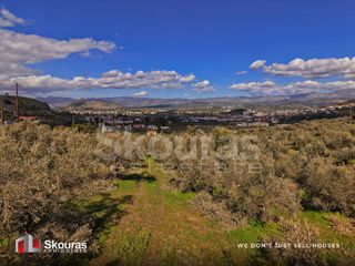 Αγροτεμάχια 9.520 τ.μ. για πώληση, Αργολίδα, Ναύπλιο-thumb-8