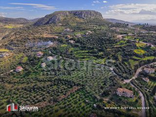 Αγροτεμάχια 9.520 τ.μ. για πώληση, Αργολίδα, Ναύπλιο-thumb-17