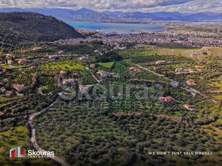 Αγροτεμάχια 9.520 τ.μ. για πώληση, Αργολίδα, Ναύπλιο-thumb-6