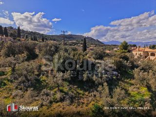Αγροτεμάχια 9.520 τ.μ. για πώληση, Αργολίδα, Ναύπλιο-thumb-22