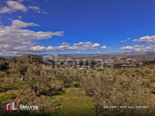 Αγροτεμάχια 9.520 τ.μ. για πώληση, Αργολίδα, Ναύπλιο-thumb-9