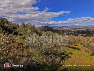 Αγροτεμάχια 9.520 τ.μ. για πώληση, Αργολίδα, Ναύπλιο-thumb-21