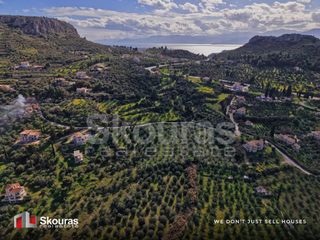 Αγροτεμάχια 9.520 τ.μ. για πώληση, Αργολίδα, Ναύπλιο-thumb-16