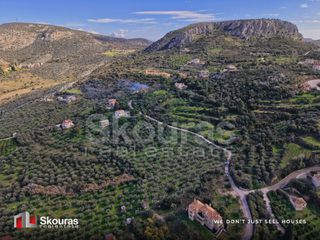 Αγροτεμάχια 9.520 τ.μ. για πώληση, Αργολίδα, Ναύπλιο-thumb-18