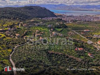 Αγροτεμάχια 9.520 τ.μ. για πώληση, Αργολίδα, Ναύπλιο-thumb-7