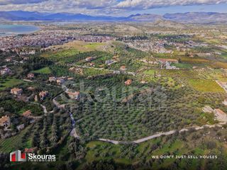 Αγροτεμάχια 9.520 τ.μ. για πώληση, Αργολίδα, Ναύπλιο-thumb-2