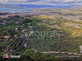 Αγροτεμάχια 9.520 τ.μ. για πώληση, Αργολίδα, Ναύπλιο-thumb-4