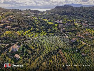 Αγροτεμάχια 9.520 τ.μ. για πώληση, Αργολίδα, Ναύπλιο-thumb-15