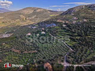 Αγροτεμάχια 9.520 τ.μ. για πώληση, Αργολίδα, Ναύπλιο-thumb-19